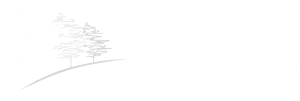 Logo van Bart Tempels Tuinarchitectuur