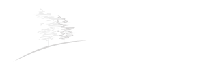 Logo Bart Tempels Tuinarchitectuur