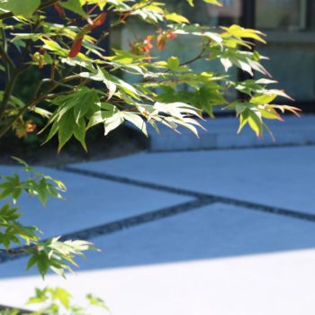 Eern japanse esdoorn als solitair naast een terras met onregelmatige vlakken in polybeton en basaltsplit.