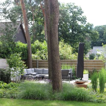Een oase van rust in de tuin met een loungeterras tussen hoge bomen en omringd door siergrassen en meerstammige struiken